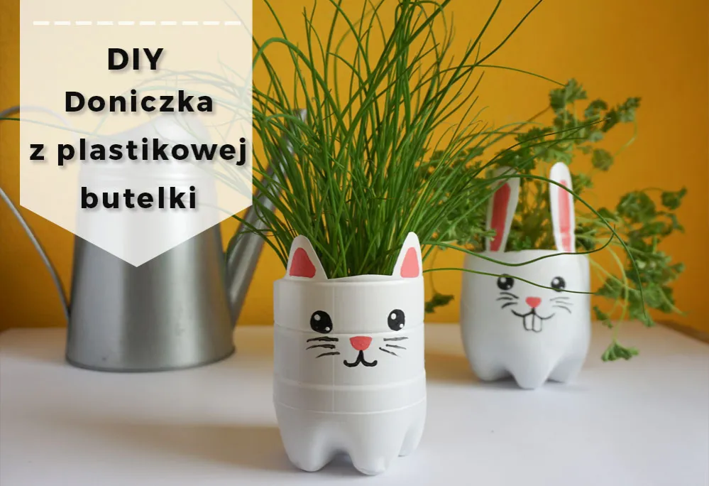Zdjęcie Jak zrobić doniczkę z butelki plastikowej i zaoszczędzić na zakupach