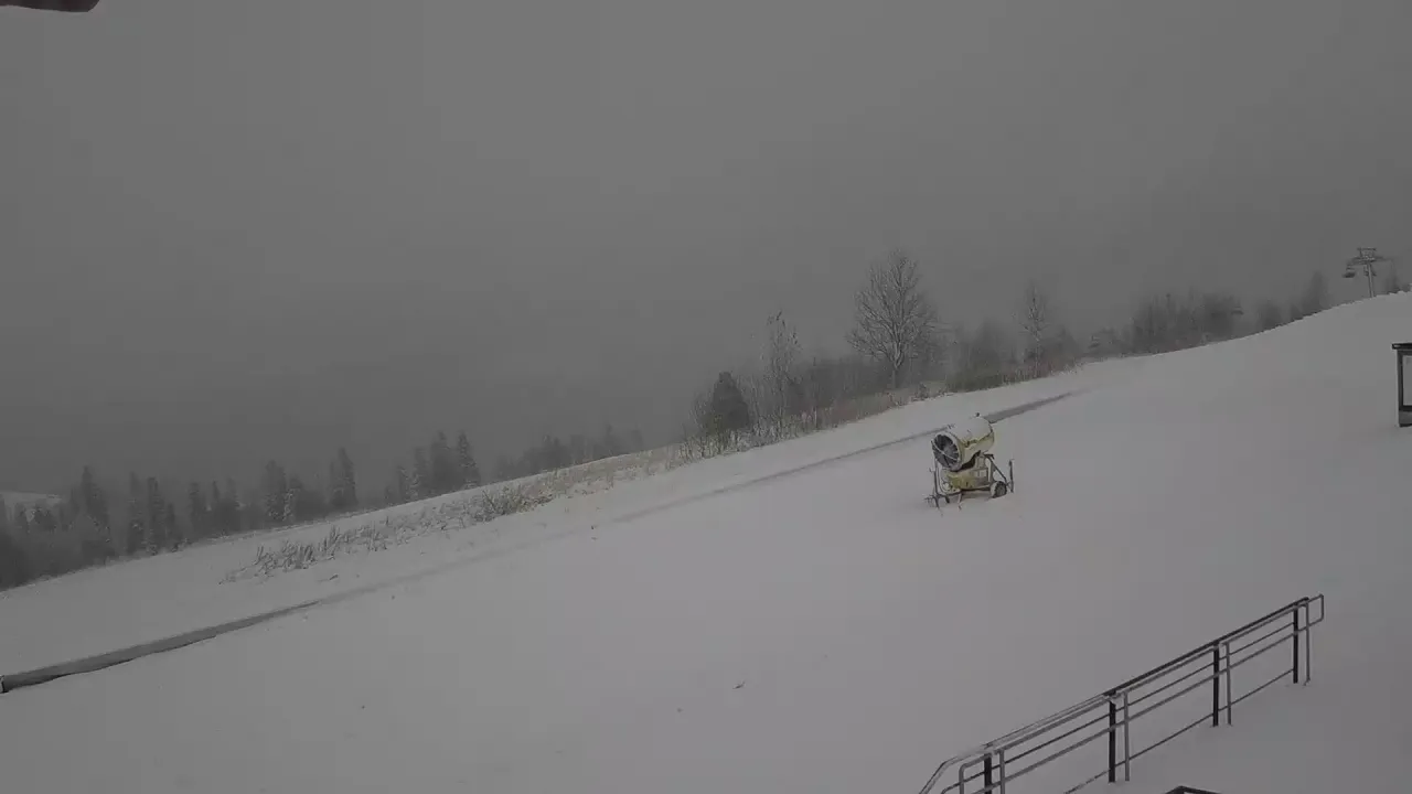 Zdjęcie Bukowina ski kamery – aktualne widoki i warunki narciarskie