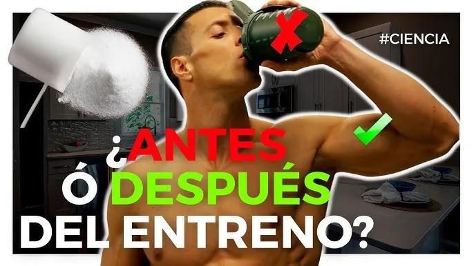Zdjęcie ¿Creatina antes o después de entrenar? Lo que necesitas saber para ganar músculo