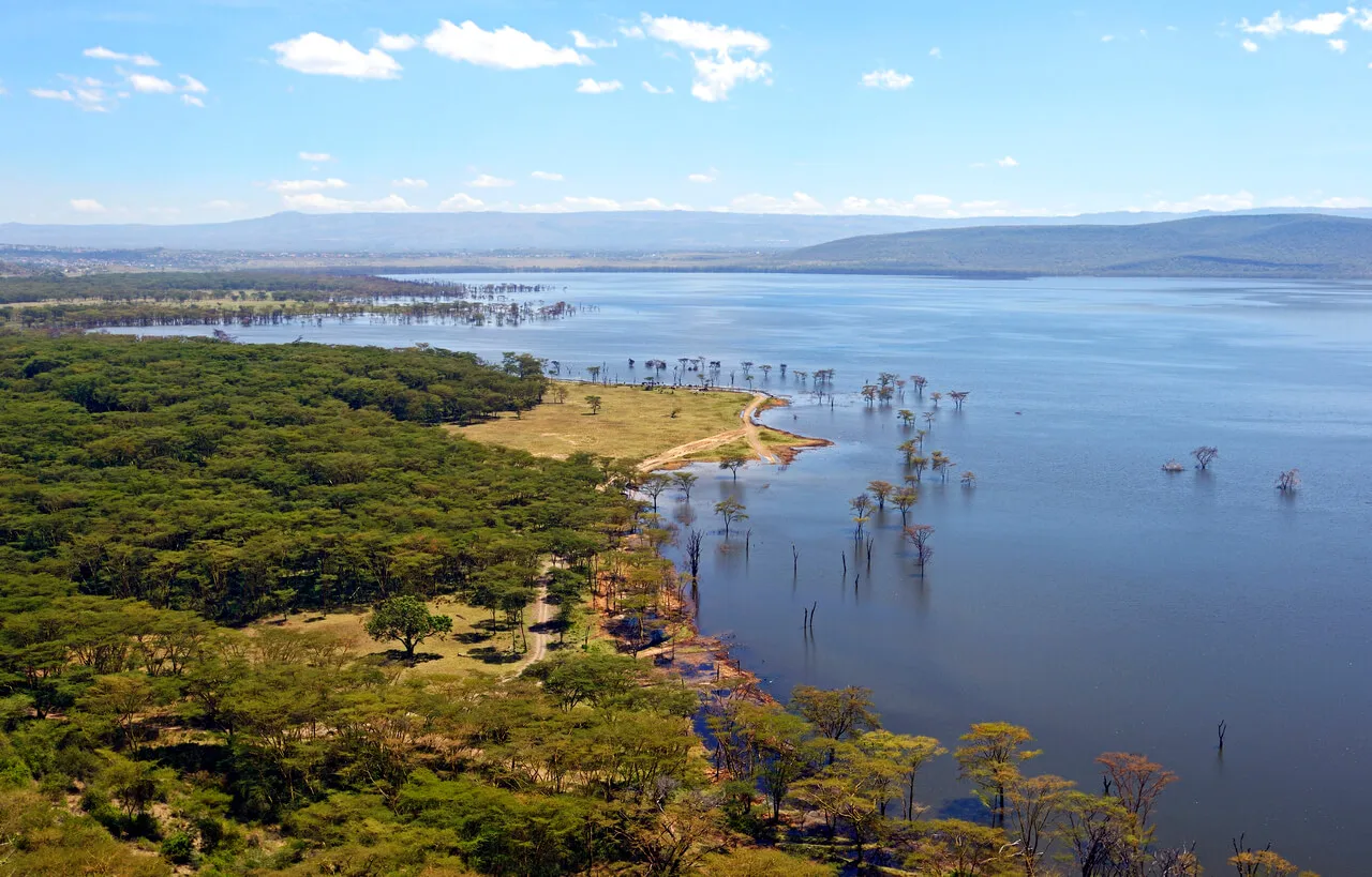 Zdjęcie Kenia kiedy jechać: najlepszy czas na safari i plażowanie