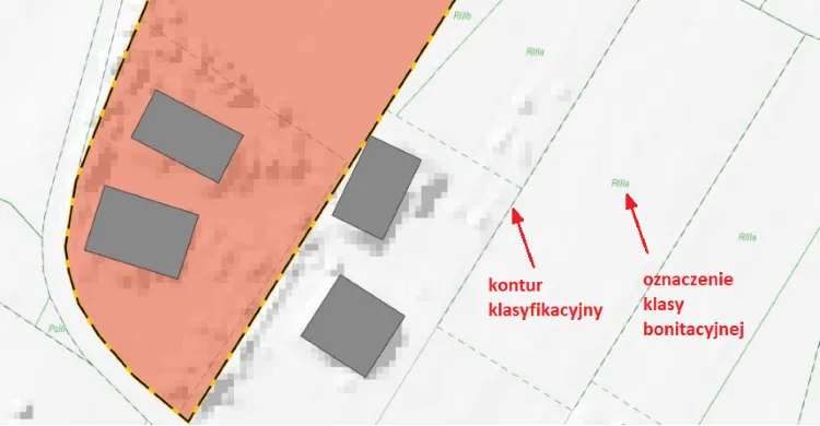 Zdjęcie Jak sprawdzić klasę ziemi po numerze działki i uniknąć błędów?