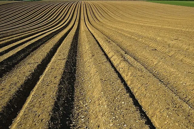 Zdjęcie Ile kosztuje działka 10 arów? Ceny w różnych regionach Polski
