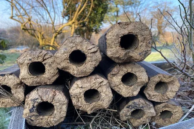 Zdjęcie Ile kosztuje brykiet drzewny? Sprawdź ceny i oszczędzaj na ogrzewaniu