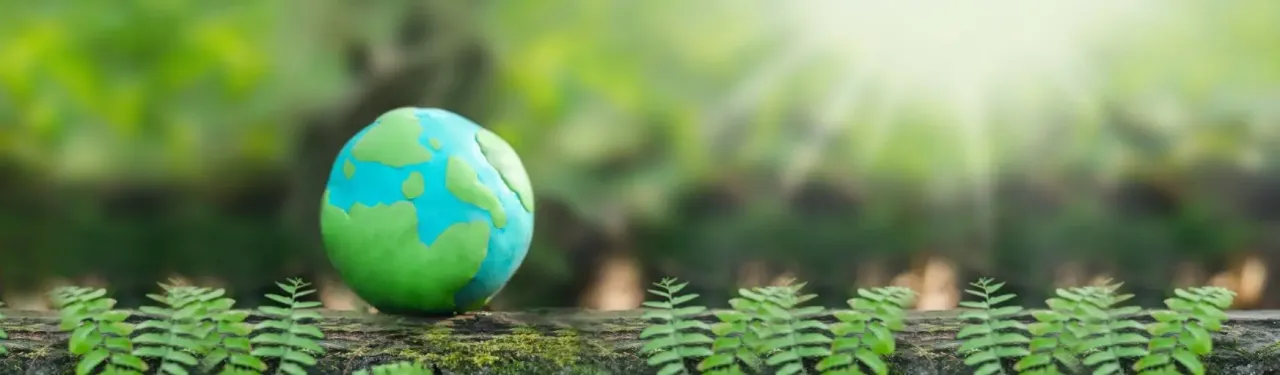 Zdjęcie Światowy dzień recyklingu: dlaczego warto dbać o naszą planetę