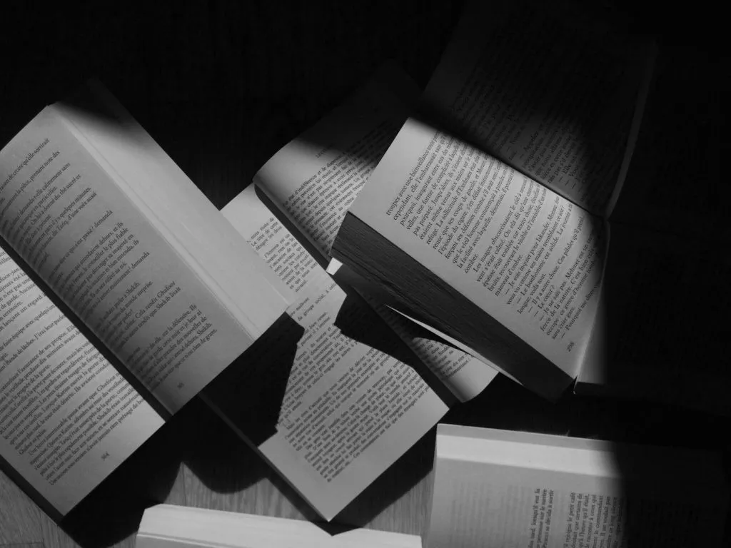 Zdjęcie Co to jest literatura piękna i dlaczego jest tak ważna?