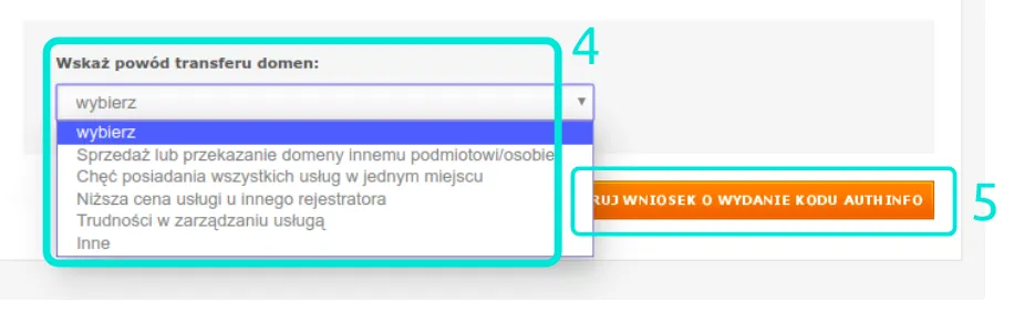 Zdjęcie Jak przenieść domenę z nazwa.pl - uniknij problemów w procesie transferu