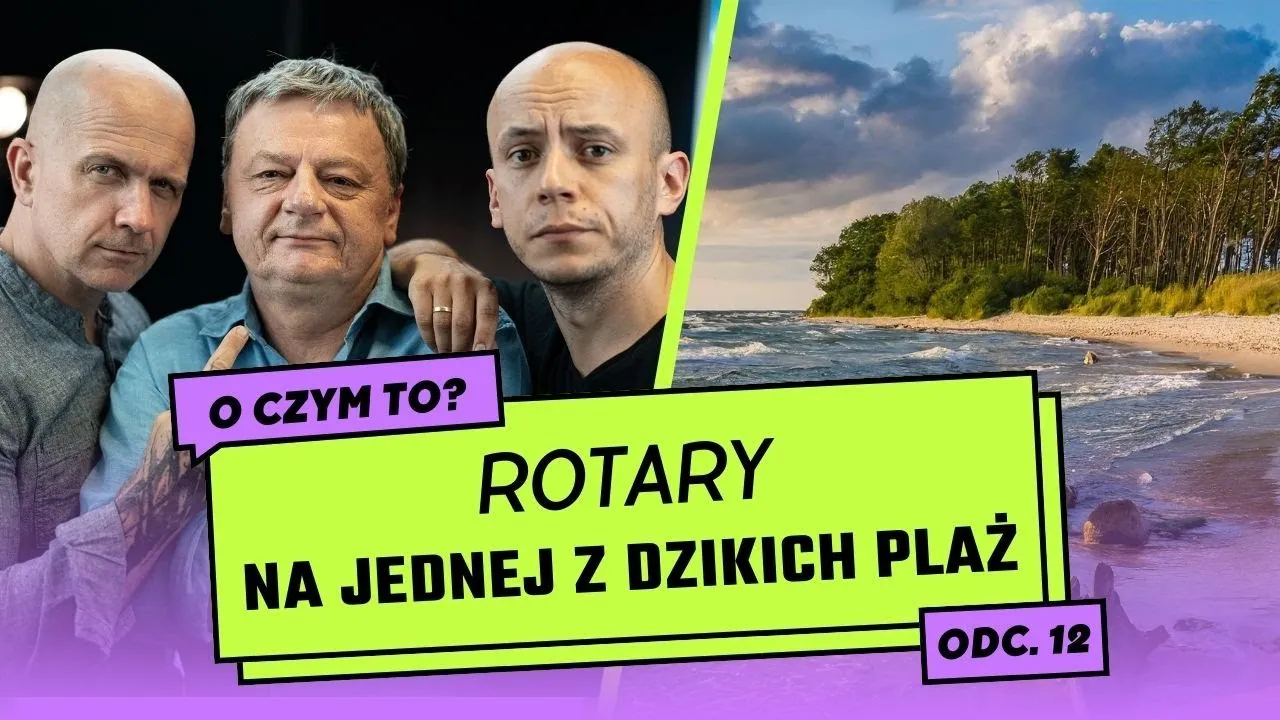 Zdjęcie Dzika Plaża: Prawda o kultowym utworze, który zawładnął plażami