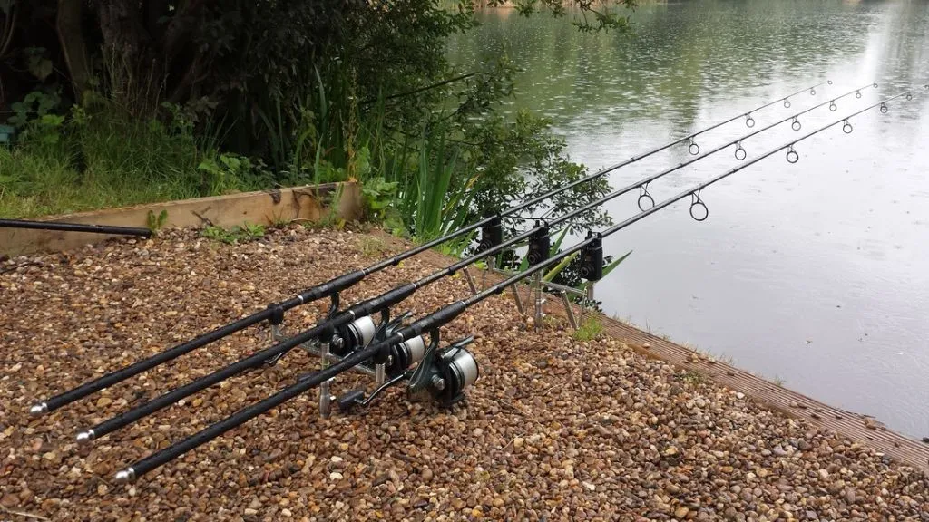 Zdjęcie Najlepsza wędka na karpia z gruntu - jak wybrać idealny sprzęt