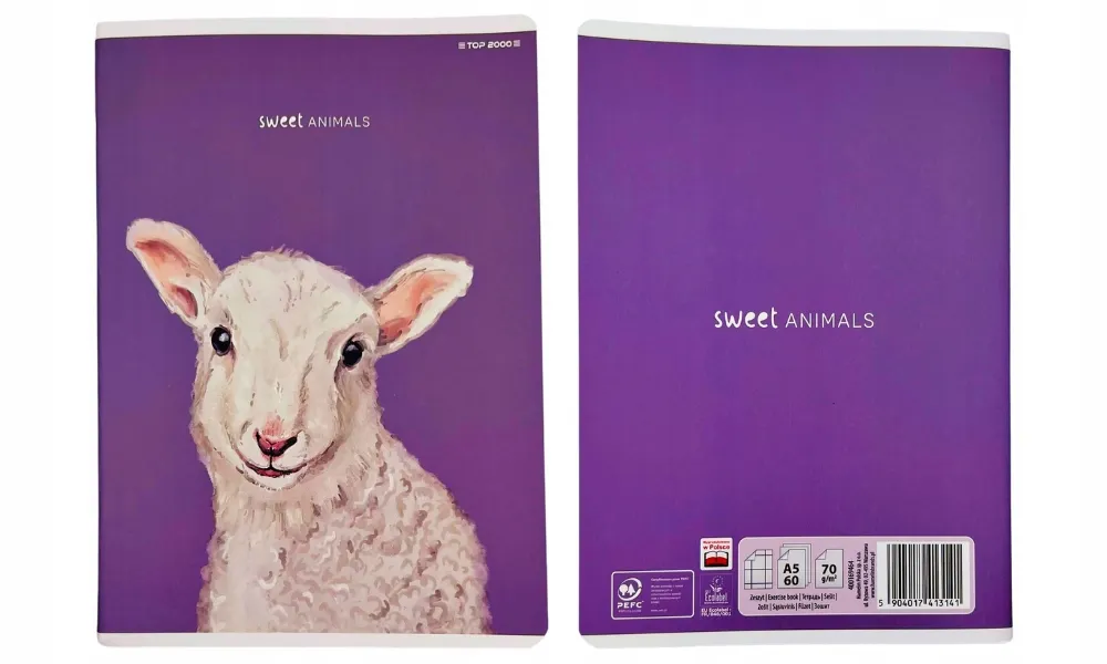 Zdjęcie Ile kosztuje zeszyt 60 kartkowy? Ceny, które Cię zaskoczą!