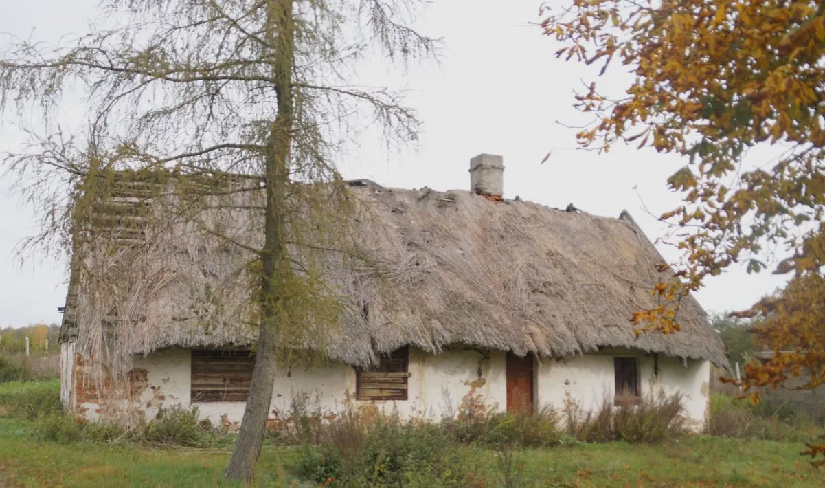 Zdjęcie Czym zajmowali się chłopi w średniowieczu? Odkryj ich trudne życie