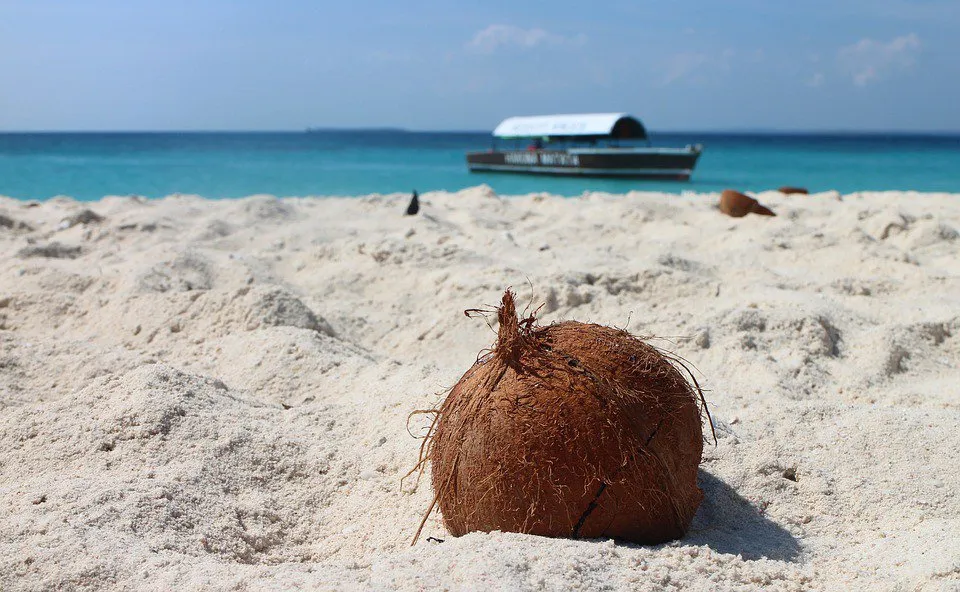 Zdjęcie Jaka waluta na Zanzibarze? Sprawdź, czego unikać i co wiedzieć