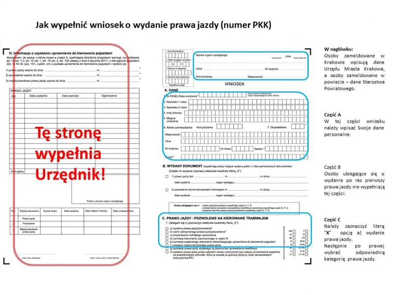 Zdjęcie Jak wyrobić profil kierowcy - krok po kroku do wymarzonego prawa jazdy