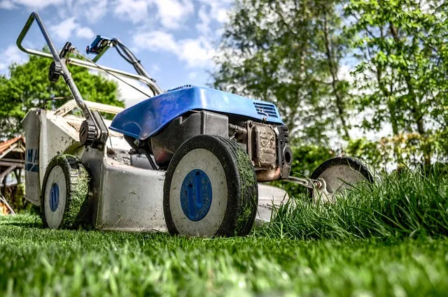 Zdjęcie Ile prądu zużywa kosiarka elektryczna? Sprawdź, ile możesz zaoszczędzić