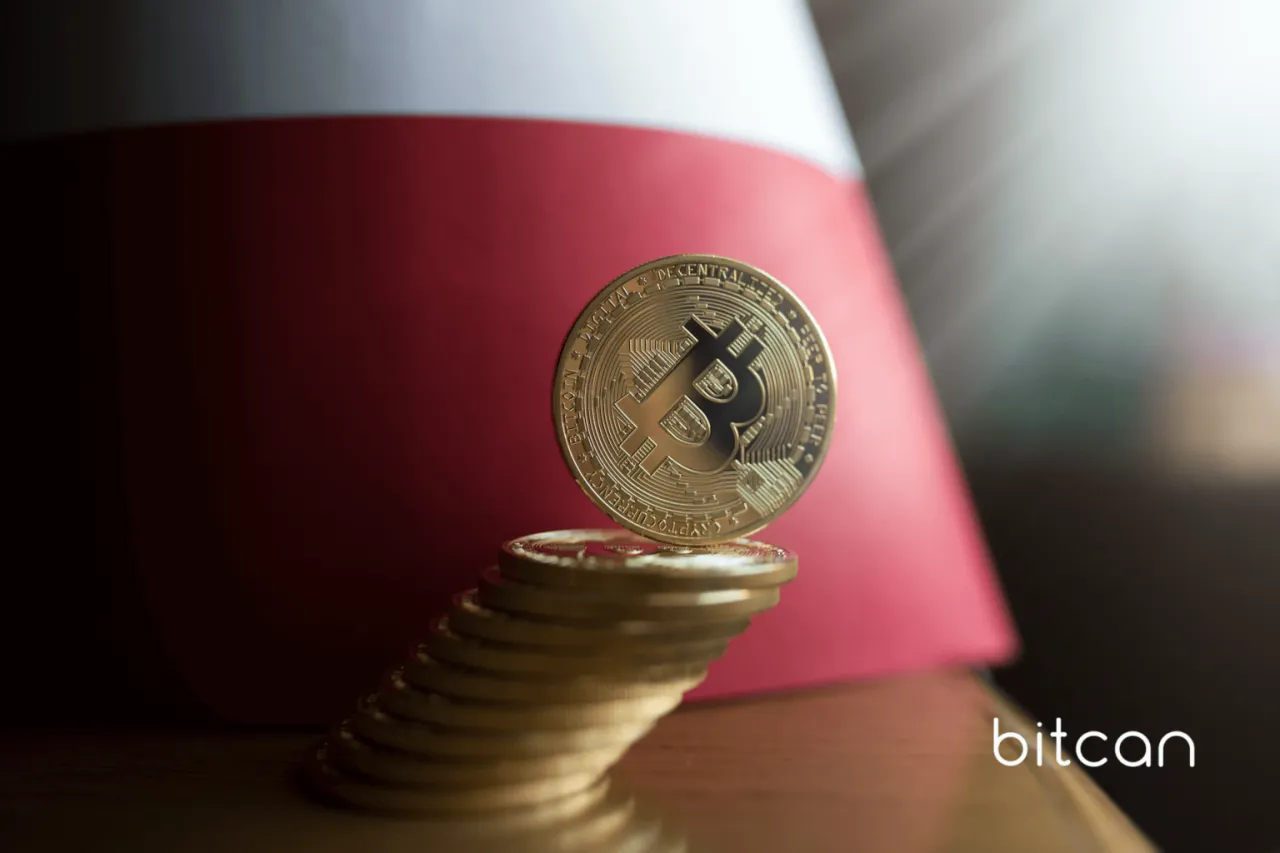 Zdjęcie Gdzie najlepiej inwestować w kryptowaluty? Uniknij pułapek!