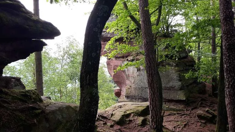 Zdjęcie Niezapomniane atrakcje Alzacji – odkryj ukryte skarby regionu