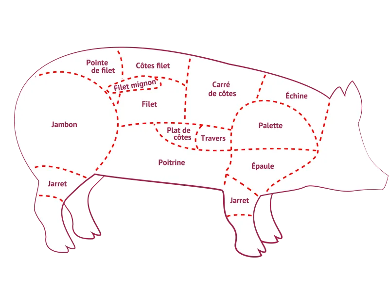 Zdjęcie Quelle viande de porc pour soupe : les meilleurs choix savoureux et légers