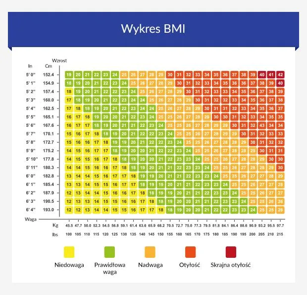 Zdjęcie Jakie BMI jest idealne dla zdrowia i jak je obliczyć?