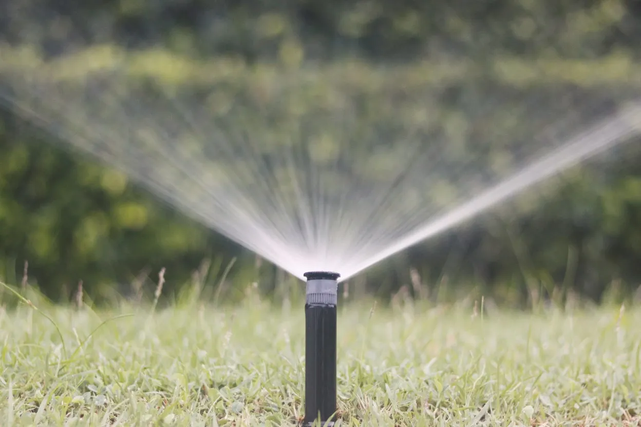 Zdjęcie Jaki zraszacz na wąski trawnik? Wybierz najlepszy!