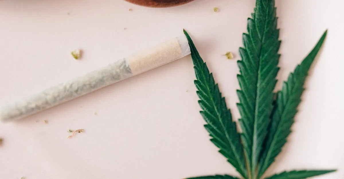 Zdjęcie Jak wzmocnić stawy? 5 naturalnych metod na zdrowe stawy