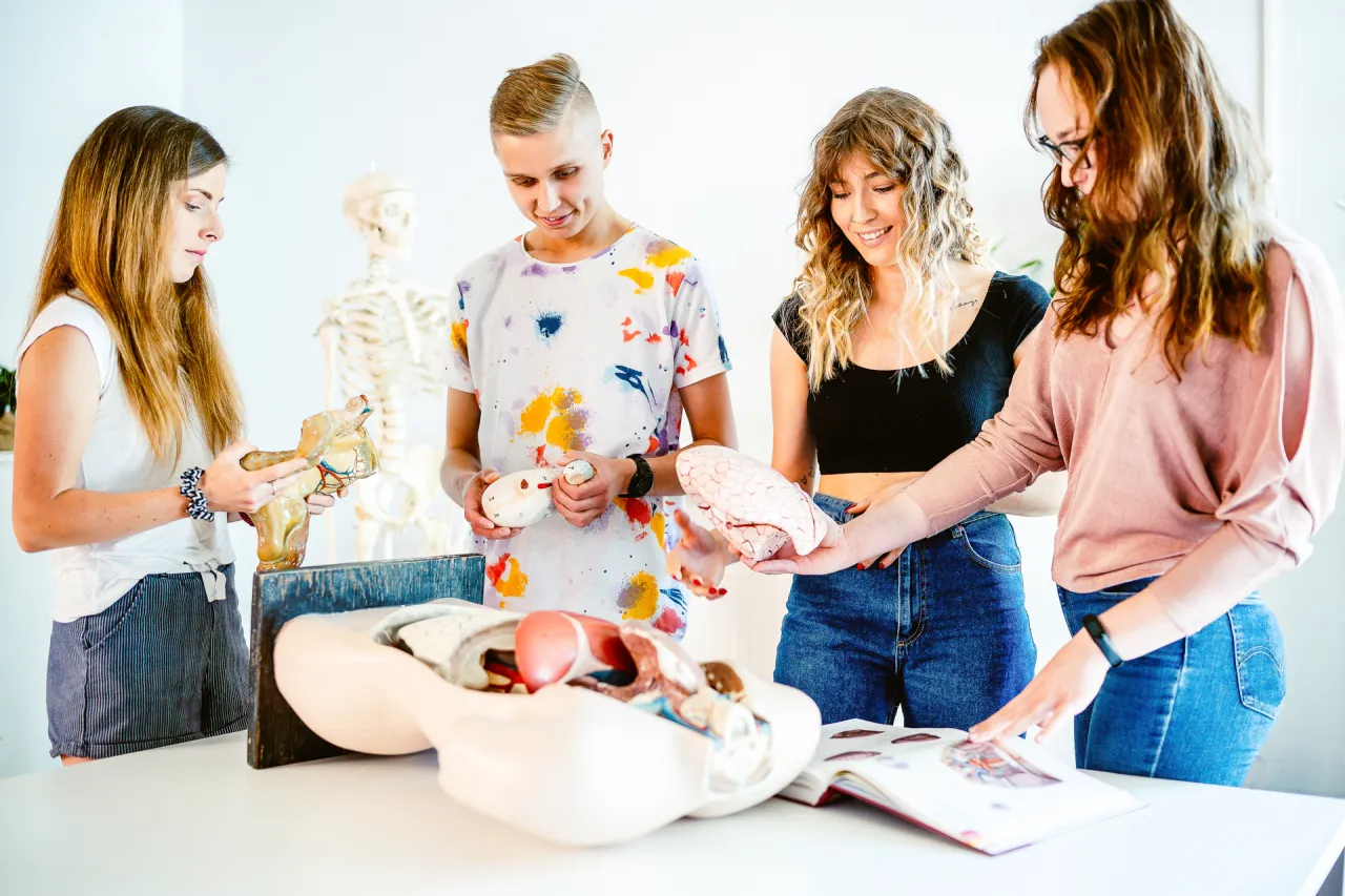 Zdjęcie Ile procent z matury na fizjoterapię - poznaj wymagania i progi rekrutacyjne