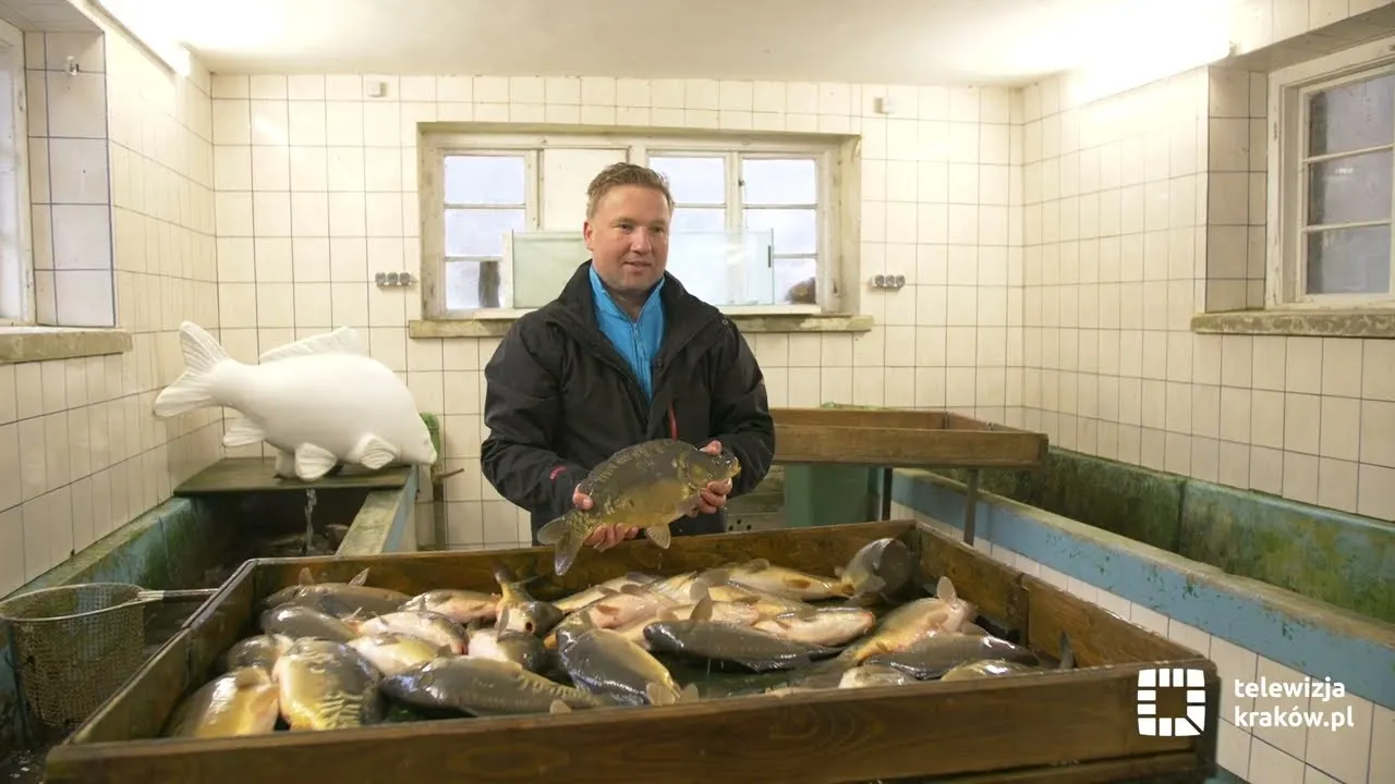 Zdjęcie Dolina Będkowska łowisko - najlepsze miejsca na wędkowanie i ryby