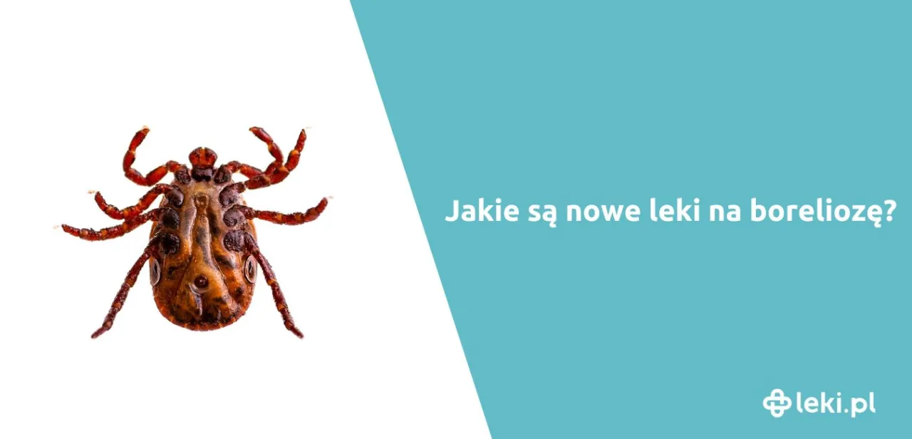 Zdjęcie Jakie leki na boreliozę? Skuteczne terapie, które mogą pomóc