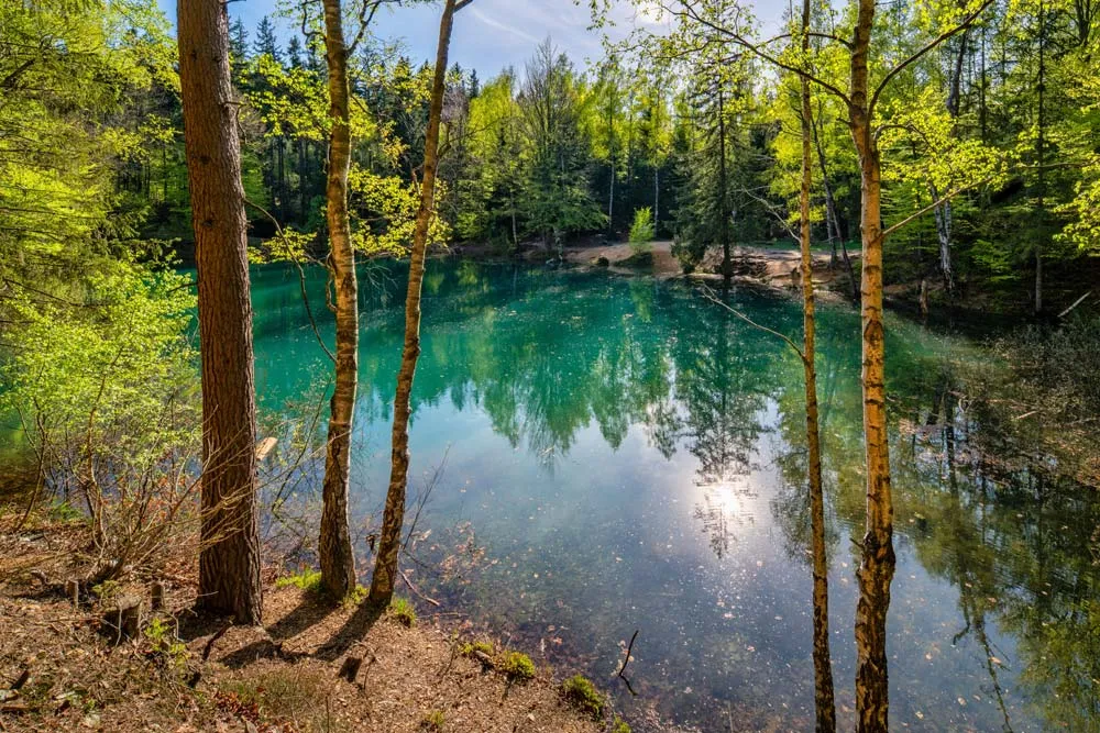 Zdjęcie Jezioro Mikorzyńskie: ukryte skarby natury i atrakcje dla turystów