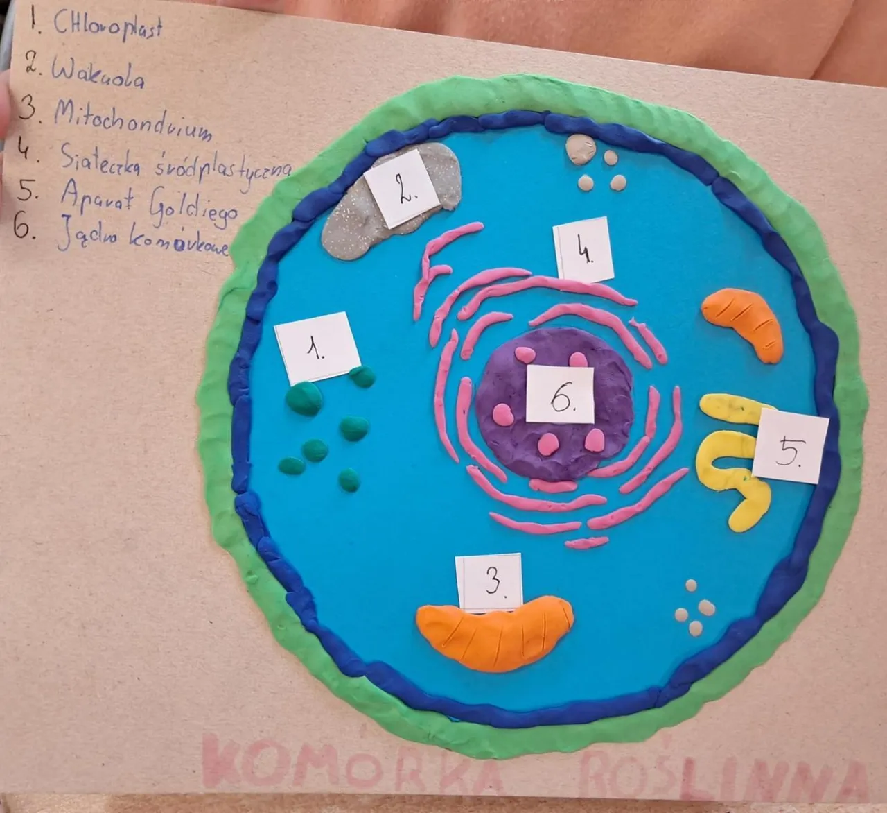 Zdjęcie Zajęcia kreatywne z biologii: Jak rozwijać pasje uczniów w szkole