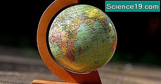 Zdjęcie Jakie są dziedziny biologii? Poznaj główne obszary nauk biologicznych i ich zastosowania