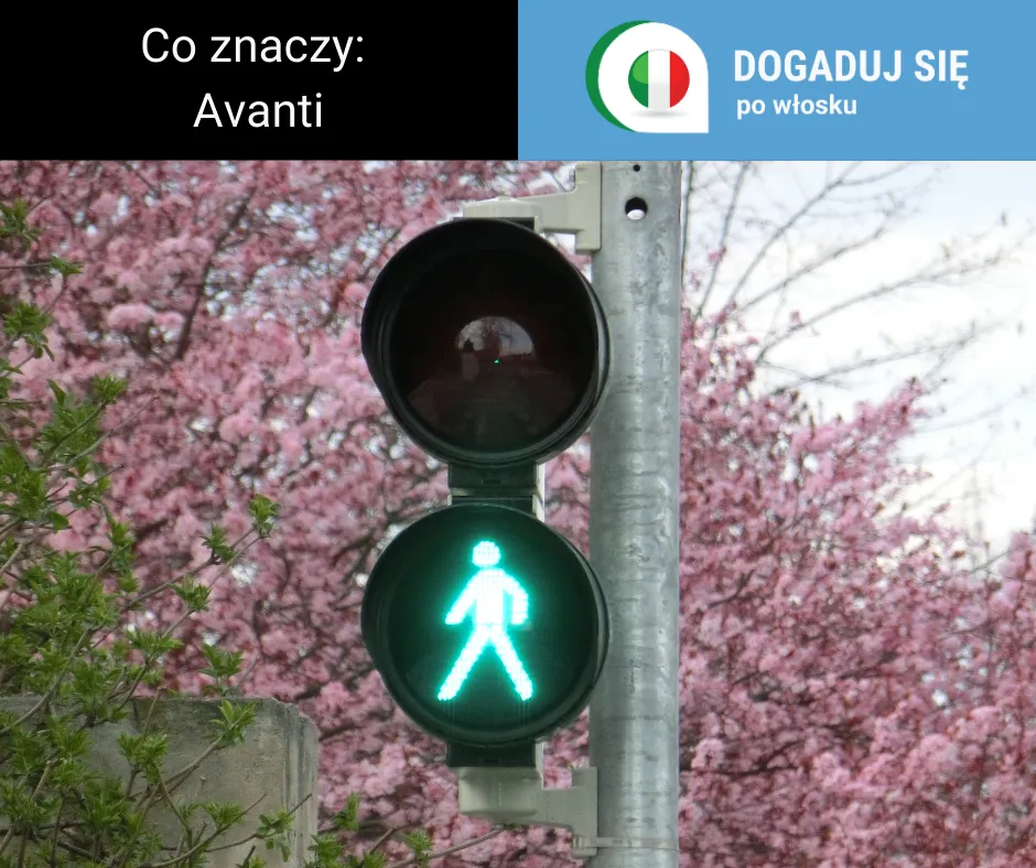 Zdjęcie Avanti po polsku: Znaczenie, które zaskoczy każdego włoskiego pasjonata