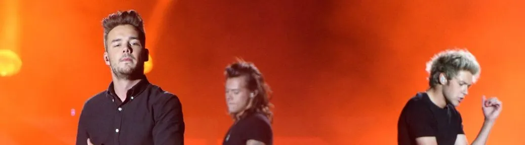 Zdjęcie Ile kosztuje bilet na koncert One Direction? Ceny i opcje zakupu