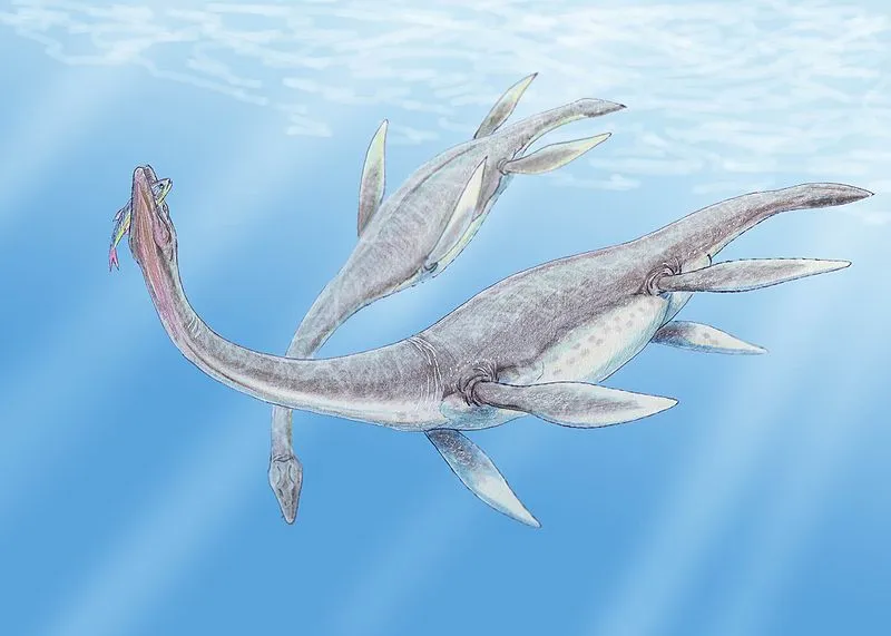 Zdjęcie Prehistoryczne oceanarium: odkryj fascynujący świat morskich gadów