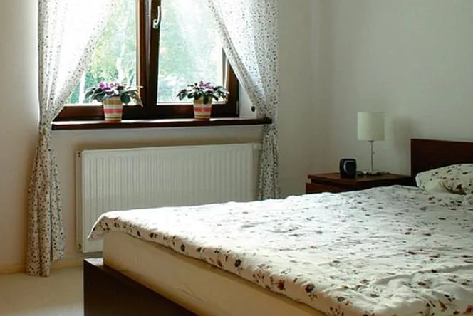 Zdjęcie Czy kaloryfer musi być pod oknem? Zaskakujące fakty o montażu grzejnika