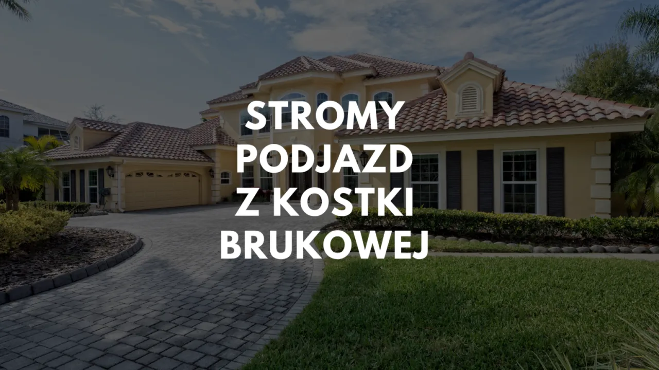 Zdjęcie Jak zabezpieczyć stromy podjazd? Najlepsze materiały, które nie dadzą ci się poślizgnąć
