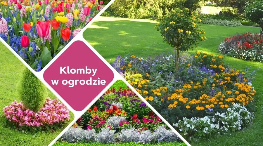 Zdjęcie Jak zrobić klomb w ogrodzie: 8 kroków do pięknej rabaty