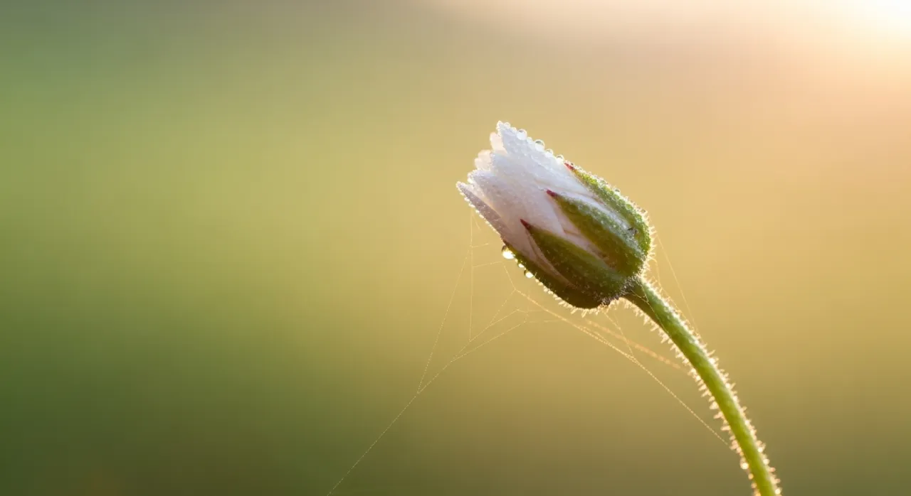 Zdjęcie Objawy w 3 tygodniu ciąży - co może zmylić i jak je rozpoznać