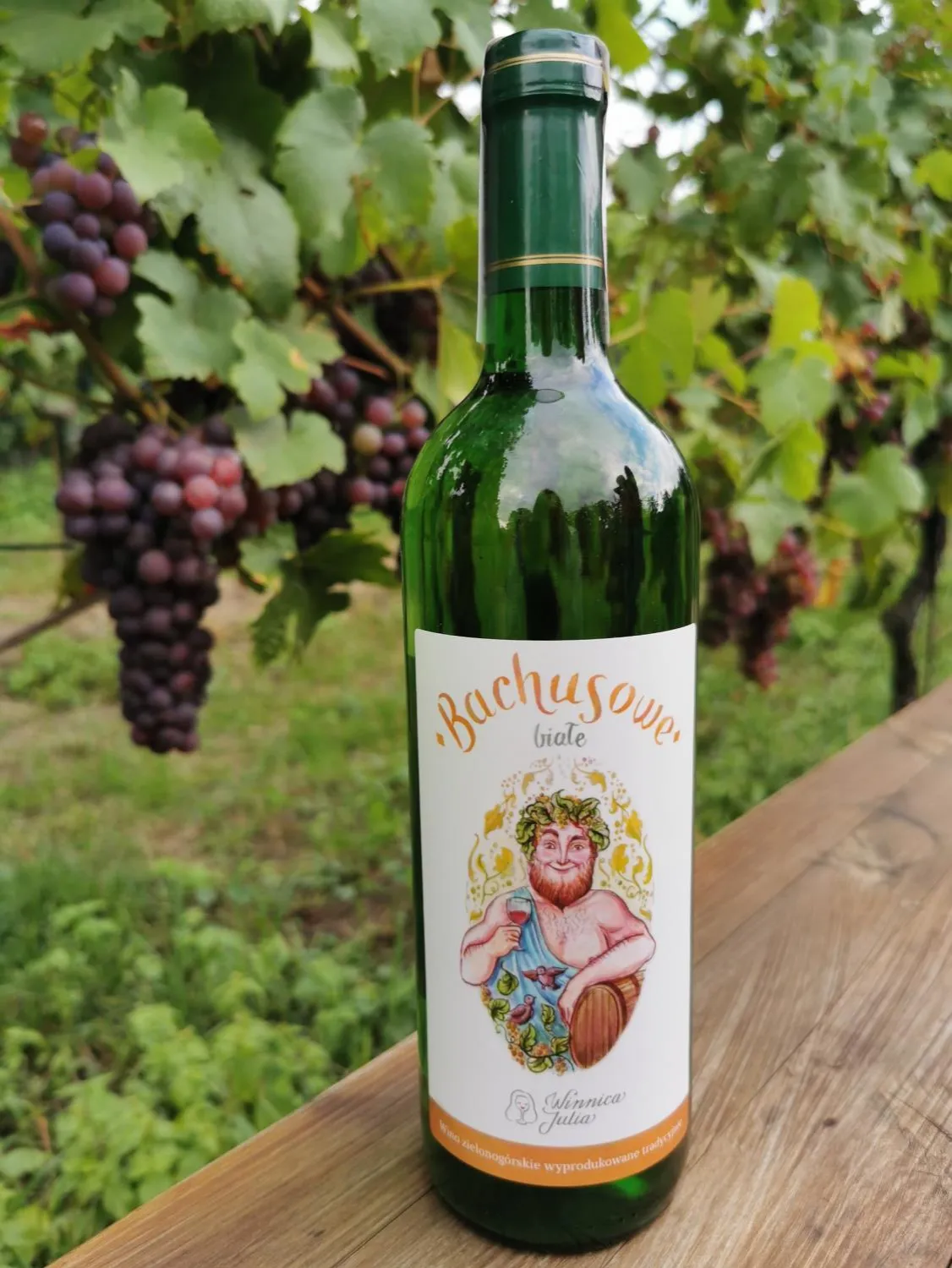 Zdjęcie Gdzie kupić wino zielonogórskie? Odkryj najlepsze miejsca w regionie