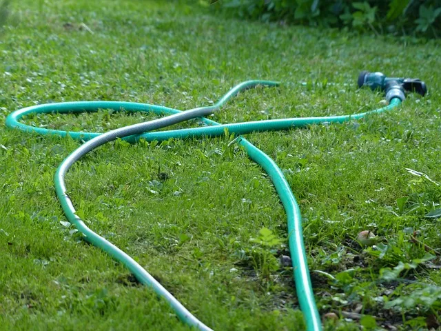 Zdjęcie Jak zwijać wąż ogrodowy, aby uniknąć uszkodzeń i przedłużyć jego żywotność