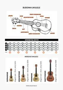 Zdjęcie Jak wygląda ukulele? Poznaj budowę i rodzaje tego instrumentu