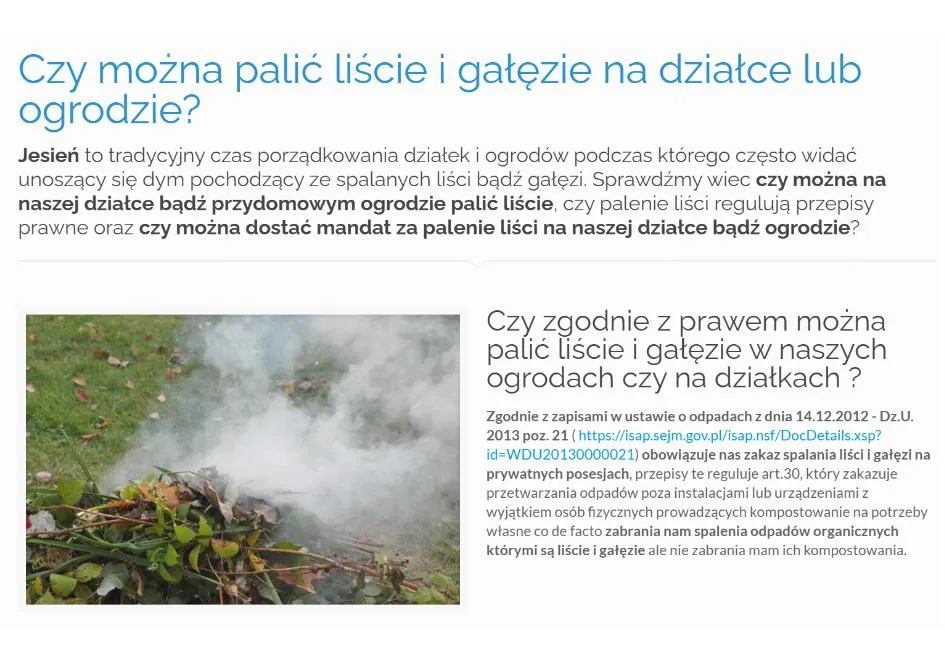 Zdjęcie Czy można palić liście na działce? Sprawdź, co grozi za łamanie przepisów