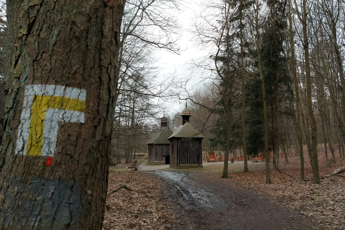 Zdjęcie Atrakcje w Lesie Łagiewnickim: Odkryj ukryte skarby natury