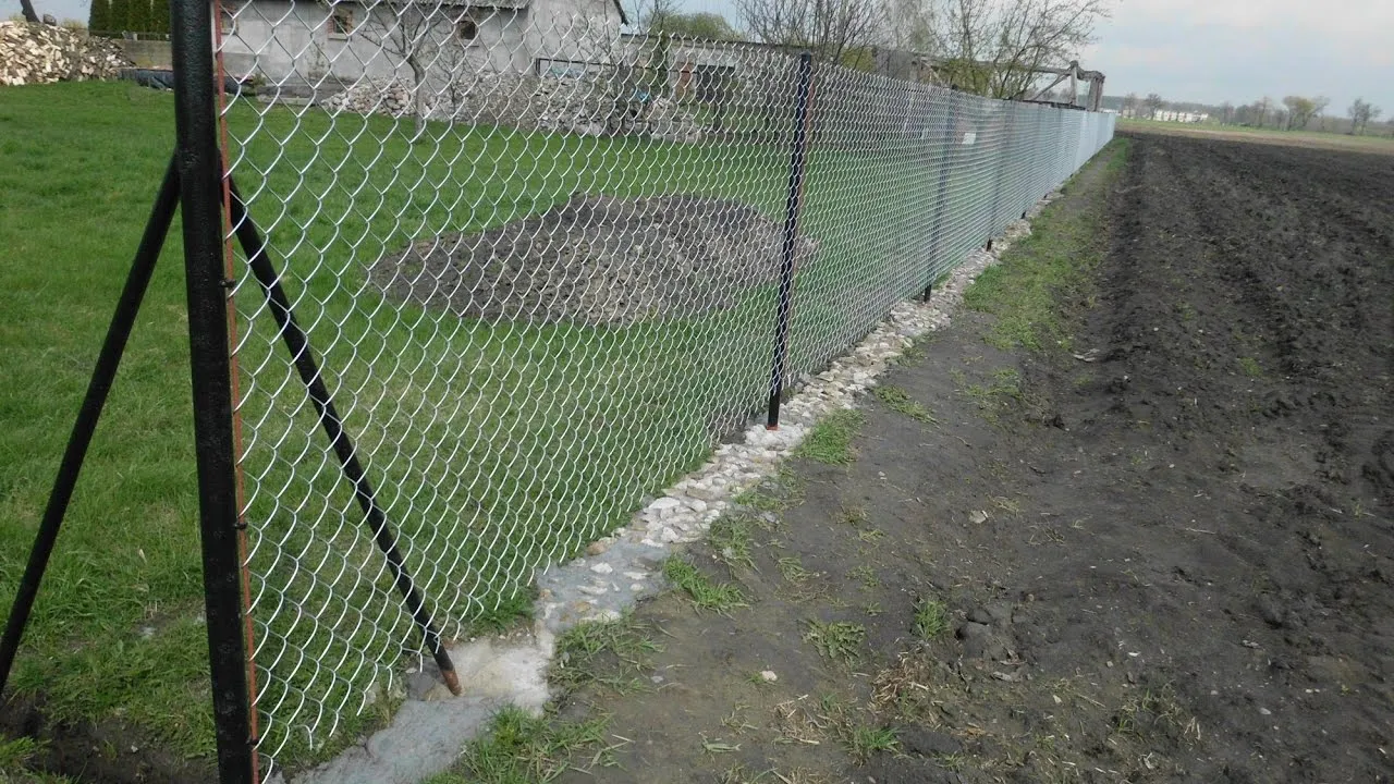 Zdjęcie Jak postawić ogrodzenie z siatki i uniknąć najczęstszych błędów