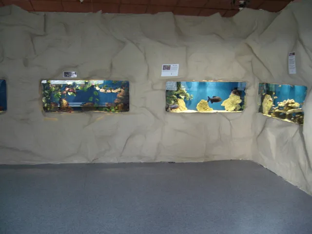 Zdjęcie Oceanarium Jastrzębia Góra - co warto wiedzieć przed wizytą?