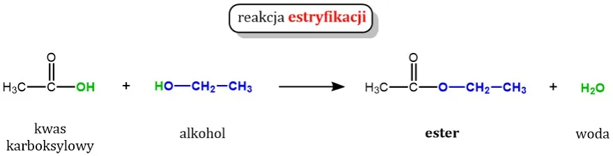 Zdjęcie Tłuszcze w chemii: Co to są, ich rodzaje i znaczenie dla zdrowia