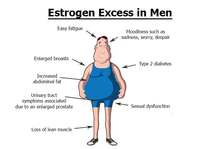 Zdjęcie Czy mężczyźni mają estrogen? Rola i znaczenie dla zdrowia mężczyzn