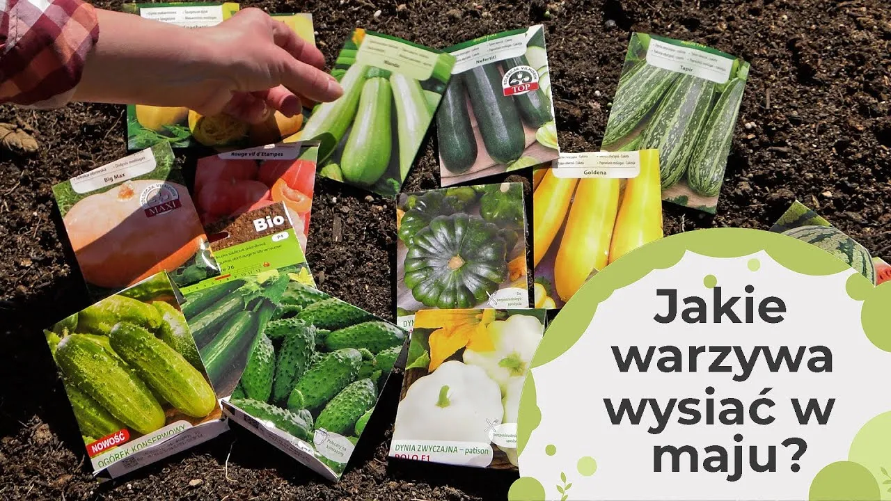 Zdjęcie Co sieje w maju: najlepsze warzywa, kwiaty i zioła do siewu
