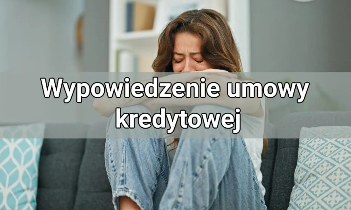 Zdjęcie Wypowiedzenie umowy pożyczki co dalej? Uniknij nieprzyjemnych konsekwencji