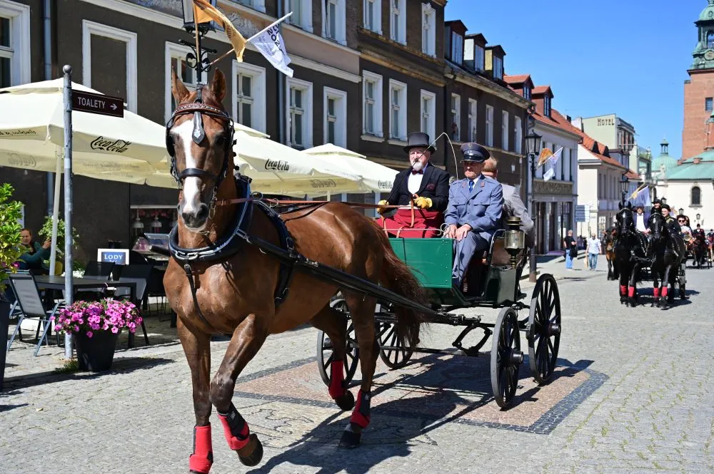 Zdjęcie Stadnina ogierów Gniezno - historia, hodowla i atrakcje rekreacyjne