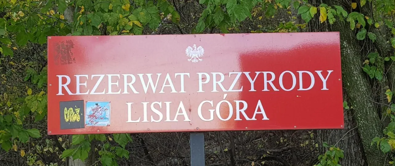 Zdjęcie Rezerwat przyrody Lisia Góra – odkryj wyjątkowe piękno natury Rzeszowa