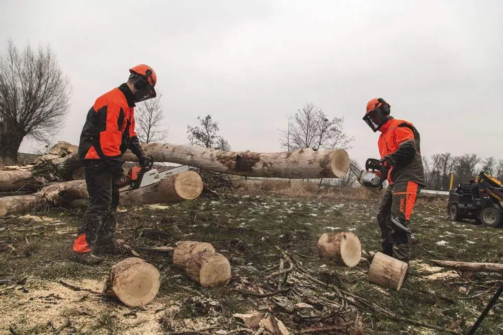 Zdjęcie Czy warto kupić pilarkę akumulatorową? Zobacz zalety i wady